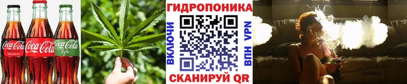 где купить наркоту  Томилино  Печенье с ТГК конопля 