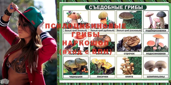 молекула духа Балахна
