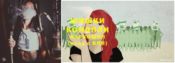 молекула духа Балахна