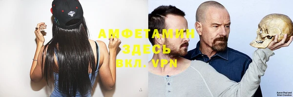 молекула духа Балахна