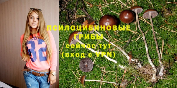 молекула духа Балабаново