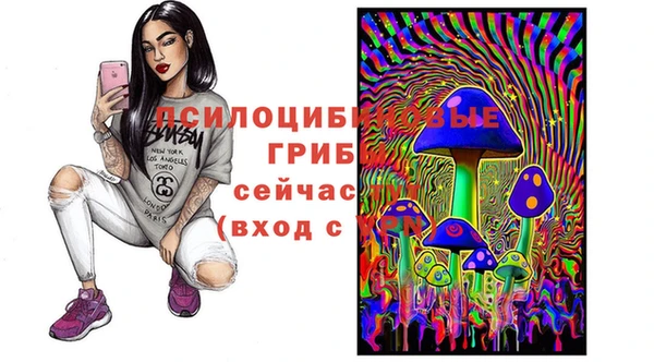 молекула духа Балахна