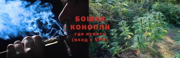 молекула духа Балабаново