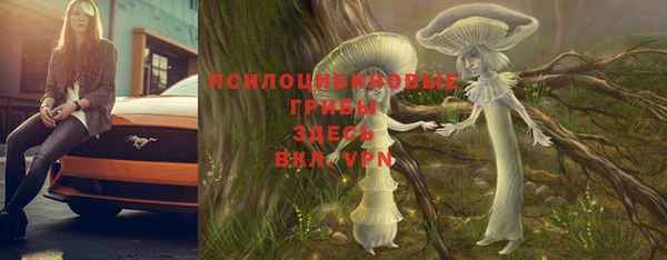 молекула духа Балахна