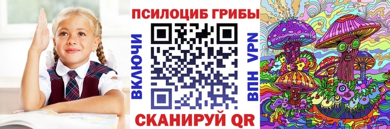 Псилоцибиновые грибы Cubensis  Томилино 